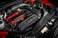 Eventuri Carbon Ansaugsystem für Audi RS3 8V Vorfacelift